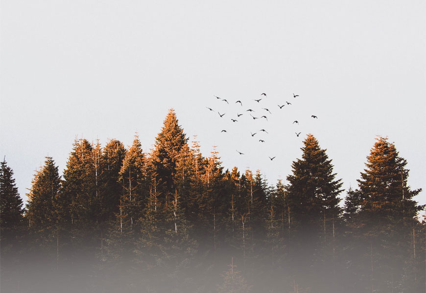 美研VI設(shè)計(jì)公司創(chuàng)意和表現(xiàn)有規(guī)律可循嗎？