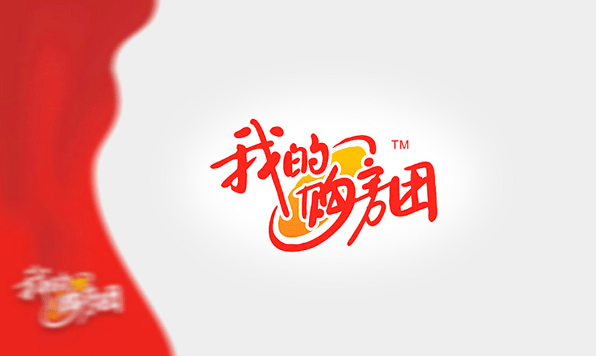 vi手冊(cè)-我的購房團(tuán)LOGO設(shè)計(jì)