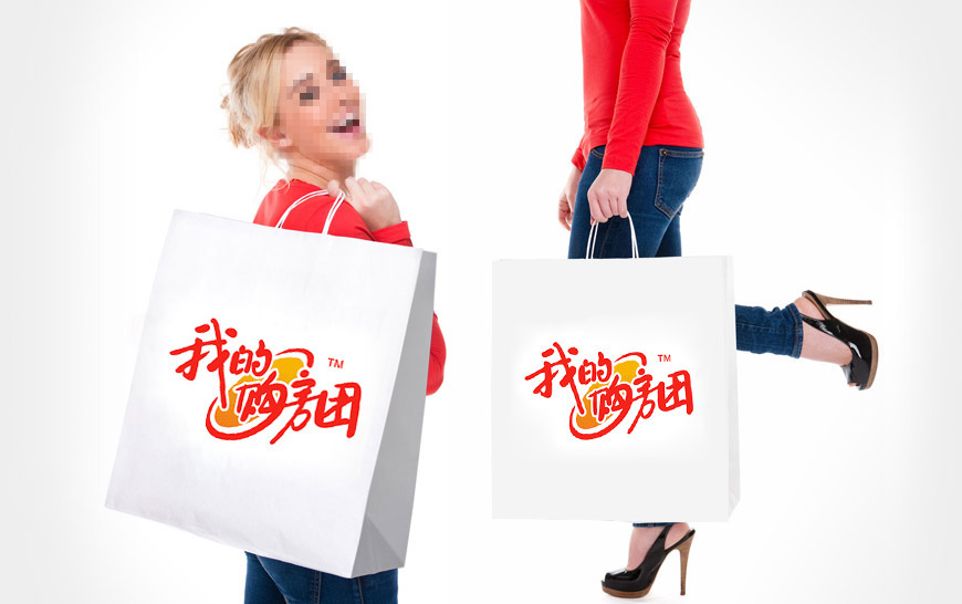 vi系統(tǒng)-我的購房團(tuán)手提袋品牌設(shè)計(jì)