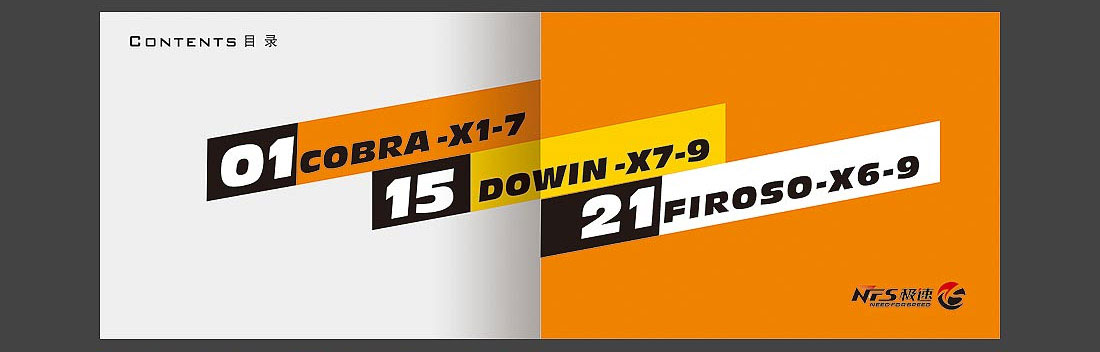 威德NFS品牌畫冊_自行車產品宣傳冊-6