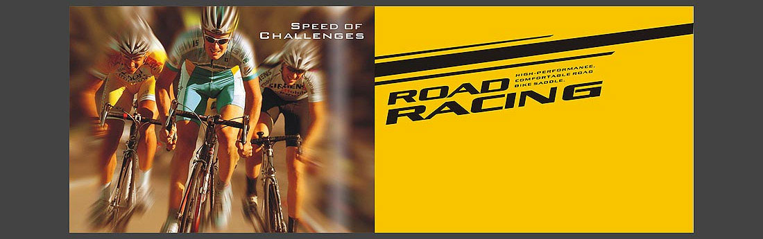 威德NFS品牌畫冊_自行車產品宣傳冊-7