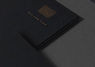 廈門百利安律師事務(wù)所標(biāo)志設(shè)計(jì)