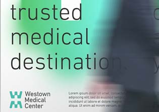 成都維爾迪醫(yī)療機構(gòu)VI設(shè)計